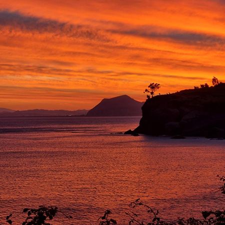 Apartmán La Casa Del Navegante Castro Urdiales Exteriér fotografie